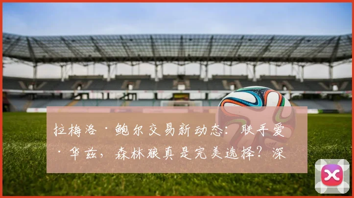 拉梅洛·鲍尔交易新动态:联手爱德华兹,森林狼真是完美选择?深度解析