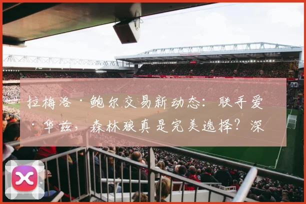 拉梅洛·鲍尔交易新动态：联手爱德华兹，森林狼真是完美选择？深度解析